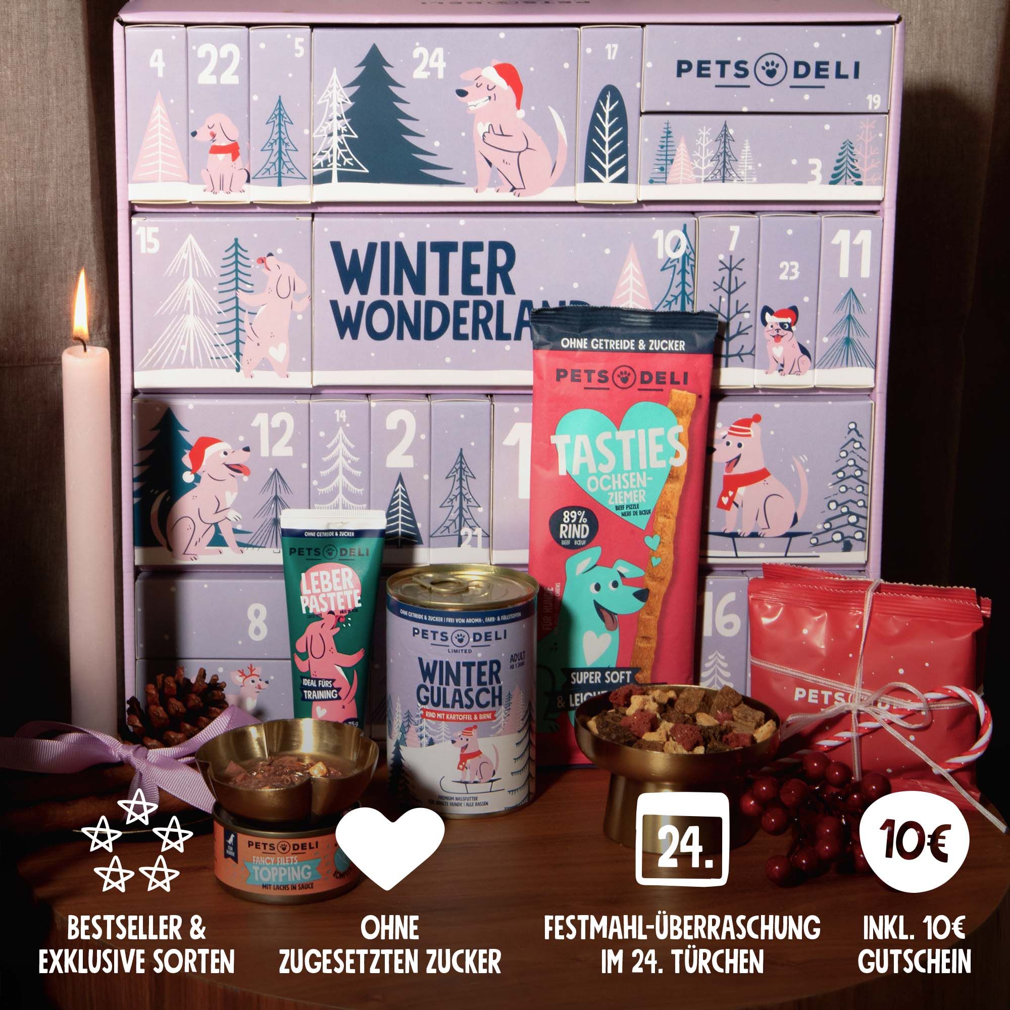 Adventskalender 2025 Drachen-Design – 24 Türchen, Mit Countdown-Funktion, Weihnachtsdekoration